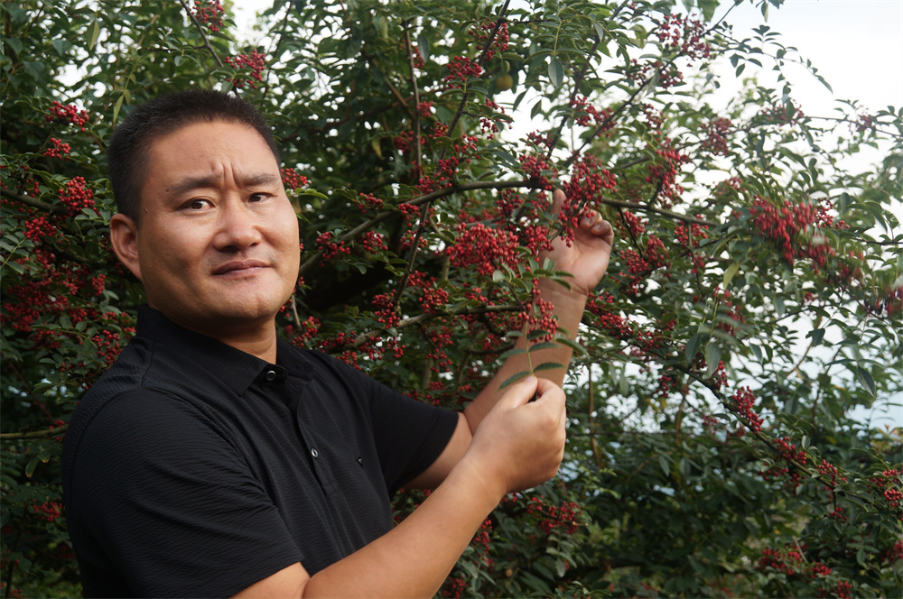 龙8头号玩家2022大事记